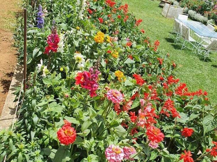 פנסיון Lakeside Cottages