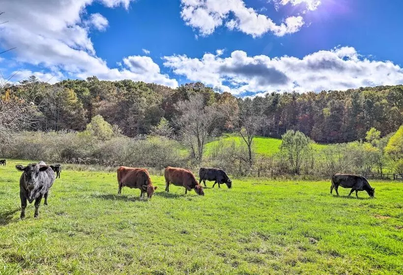 Stunning Fletcher Home: Hot Tub + Fire Pit!
