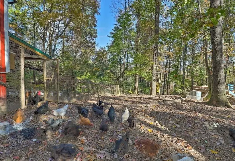 Stunning Fletcher Home: Hot Tub + Fire Pit!