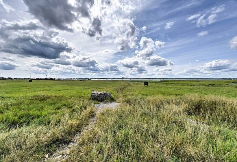 The Starfish  Hampton Cottage: Walk To Beach!