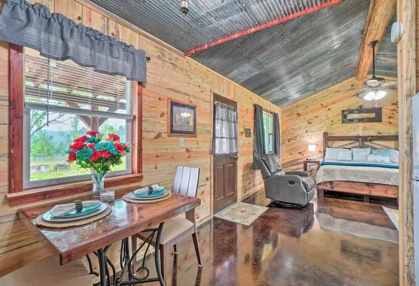 Updated Studio Cabin In Ozark W/ Yard & Mtn View