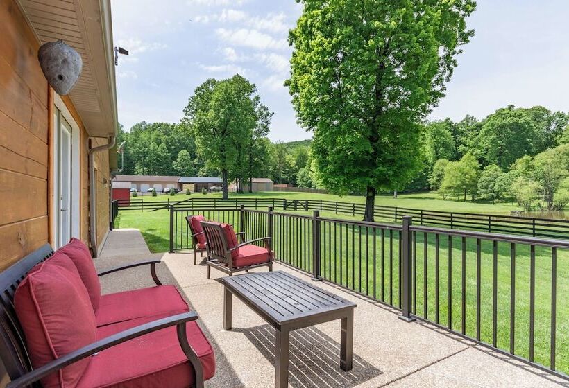 22 Acre Home On Bourbon Trail W/ Sunroom!