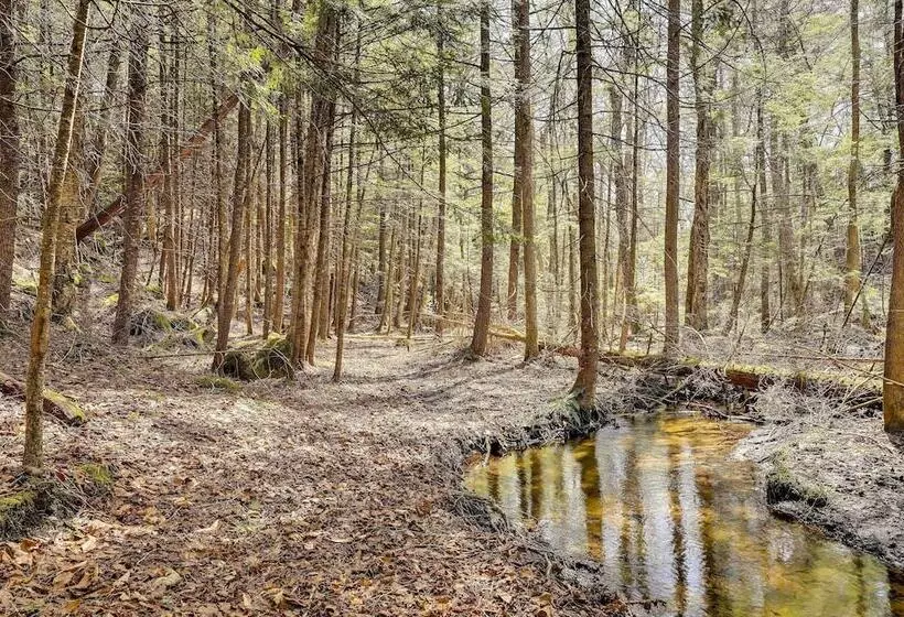 Lake George Oasis W/ 9 Acres, Hot Tub & Game Room!