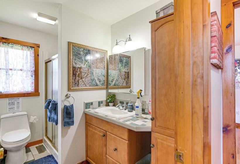 West Virginia Cabin Near Snowshoe Mountain Resort