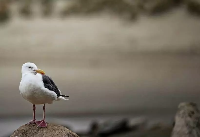 Arroyo Grande Home 3 Mi To Golf Course & Wineries!