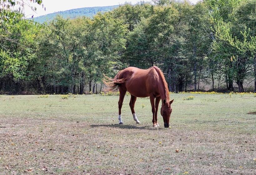 Peaceful Black Fork Cabin 1 Fish On Site!