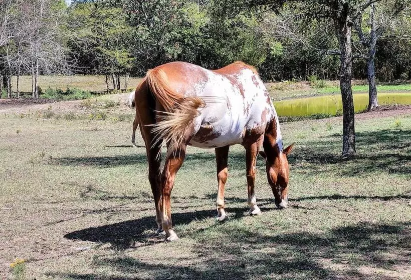 Peaceful  Black Fork Cabin 1    Fish On Site!