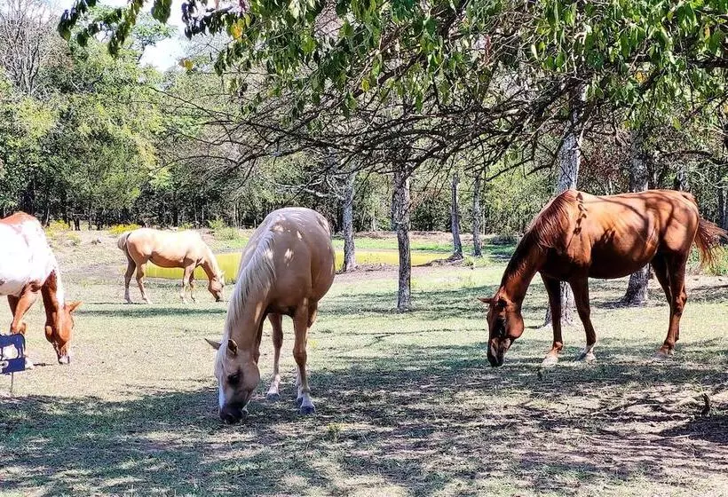 Peaceful  Black Fork Cabin 1    Fish On Site!