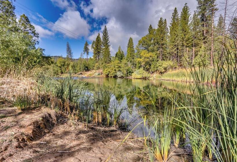 Pet Friendly Escape W/ Game Room & Fire Pit!