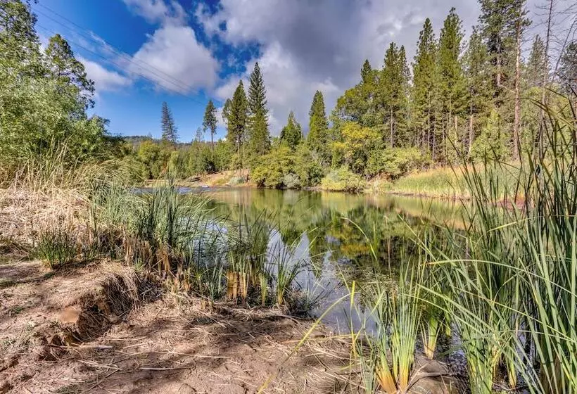 Pet Friendly Escape W/ Game Room & Fire Pit!