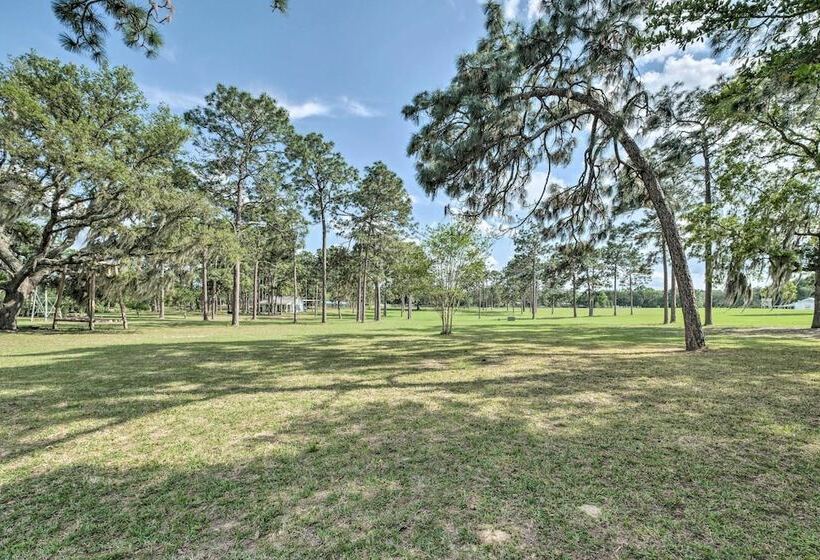 Quaint & Quiet Belleview Cabin On 35 Acres!