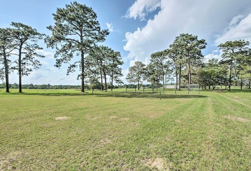 Quaint & Quiet Belleview Cabin On 35 Acres!