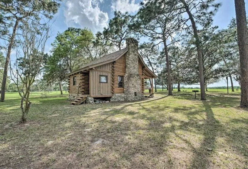 Quaint & Quiet Belleview Cabin On 35 Acres!
