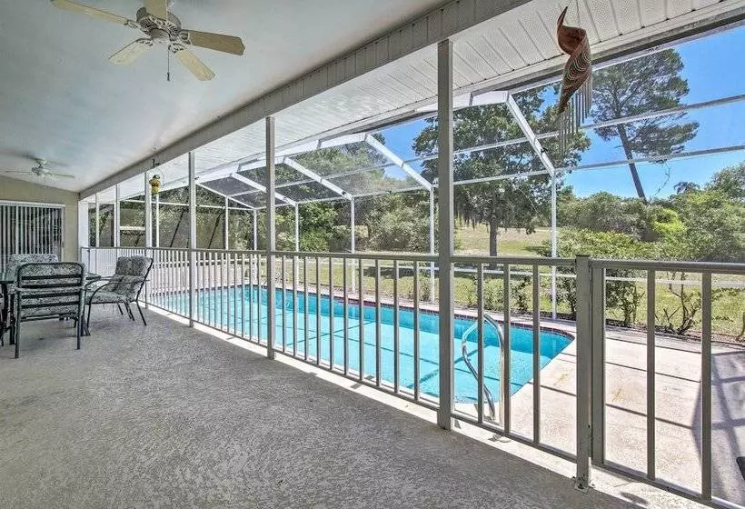 Spring Hill Home W/ Pool ~ 1 Mi To Weeki Wachee