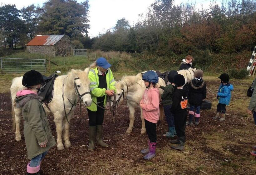Cosy Stone Cottage On Llanllwni Mountain