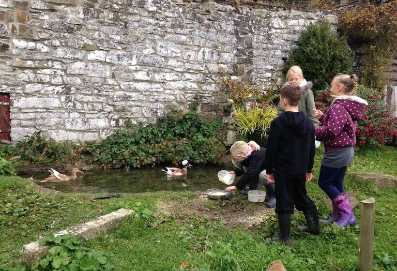 Cosy Stone Cottage On Llanllwni Mountain