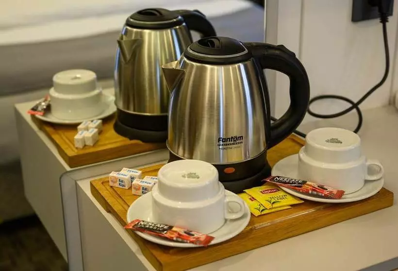 Ds Regulus Otel