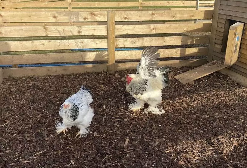 Inviting 2 Bed Camper In Holyhead