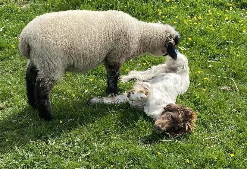 Inviting 2 Bed Camper In Holyhead