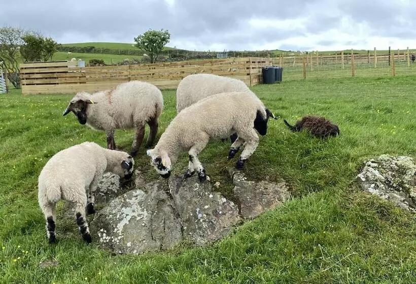 Inviting 2 Bed Camper In Holyhead