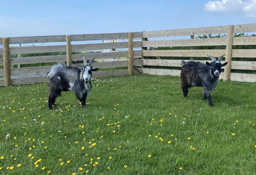 Inviting 2 Bed Camper In Holyhead