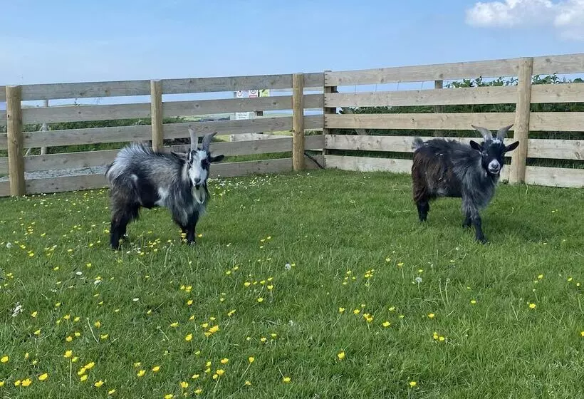 Inviting 2 Bed Camper In Holyhead