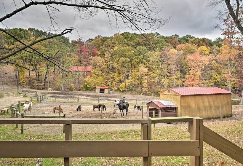 Lone Ranger  Cabin W/ 50 Acres By Raystown Lake
