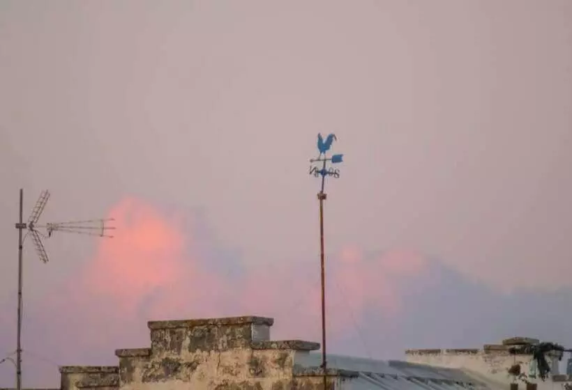 Residenssi Housing Of Charme With Rooftops Balconies