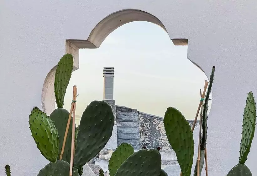Residenssi Housing Of Charme With Rooftops Balconies