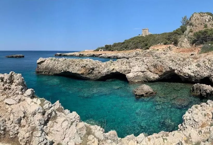Residenssi Housing Of Charme With Rooftops Balconies