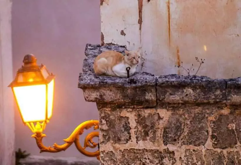 Residenssi Housing Of Charme With Rooftops Balconies