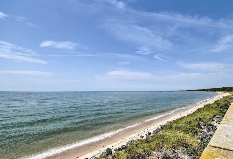 Pet Friendly Woodsy Gem: 1/4 Mi To Chesapeake Bay