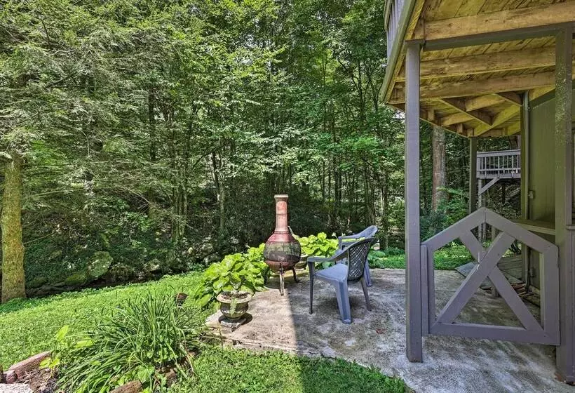 Creekside Roan Mountain Cabin: Walk To Trails
