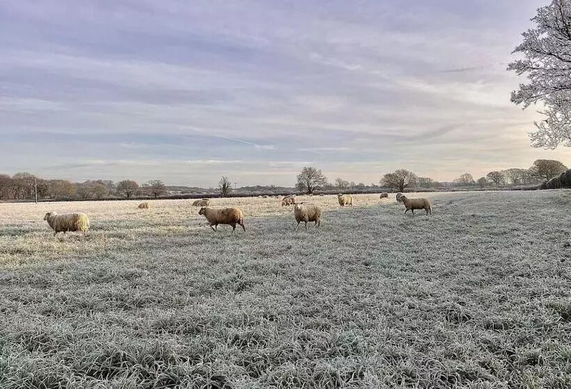 Aamiaismajoitus (B&B) The Jolly Sportsman