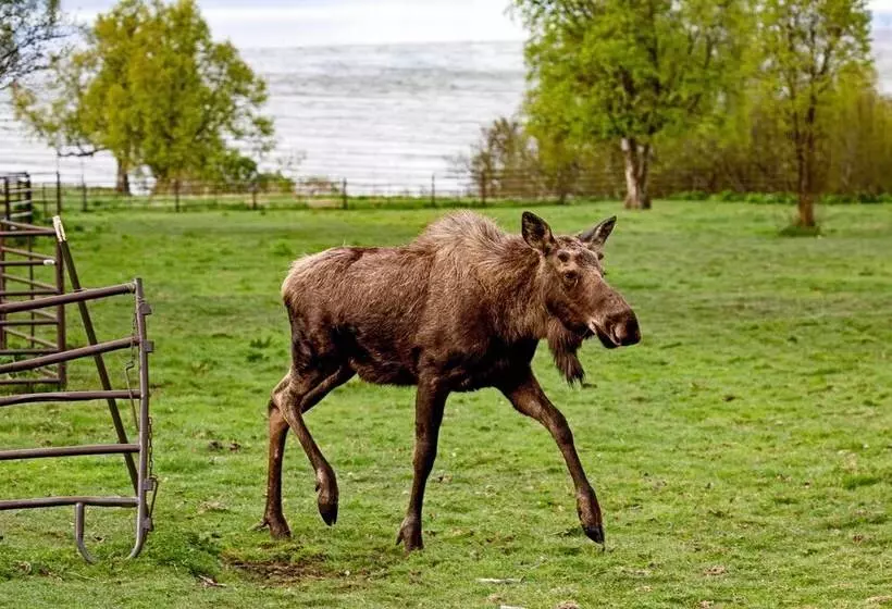 Home W/ Kachemak Bay View   5 Miles To Downtown!