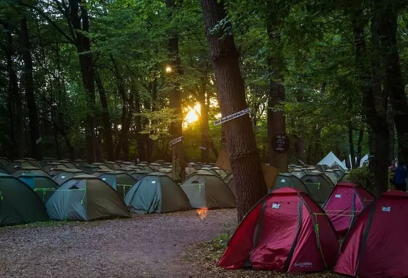 ベッドアンドブレックファースト Munich Central Camping