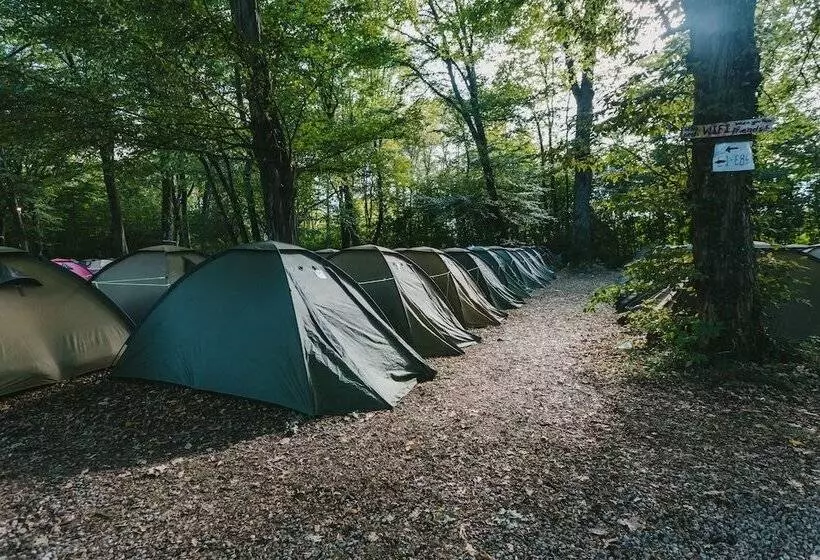 ベッドアンドブレックファースト Munich Central Camping
