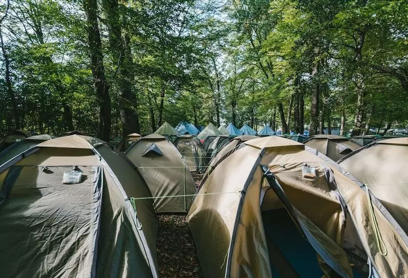 ベッドアンドブレックファースト Munich Central Camping