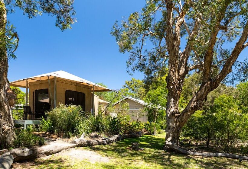 酒店 Castaways Moreton Island