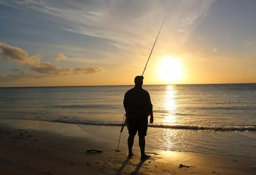 ホテル Castaways Moreton Island