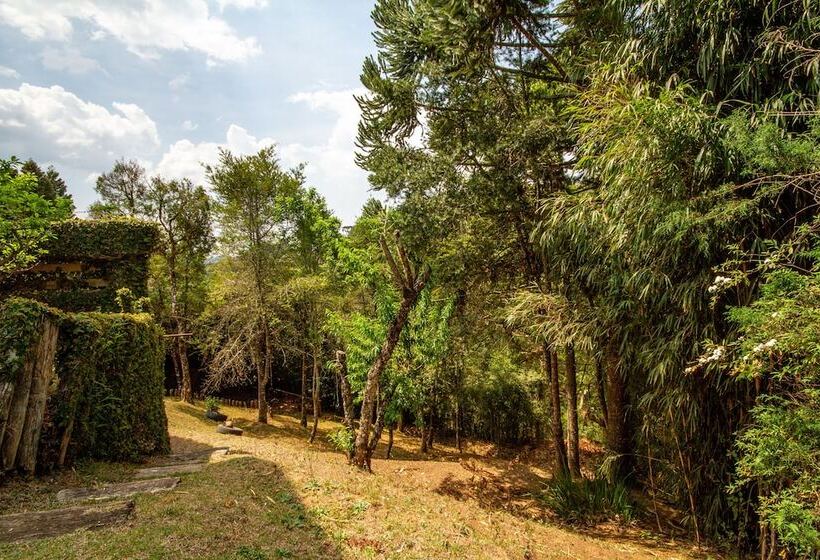 Отель Pousada Confraria Da Terra