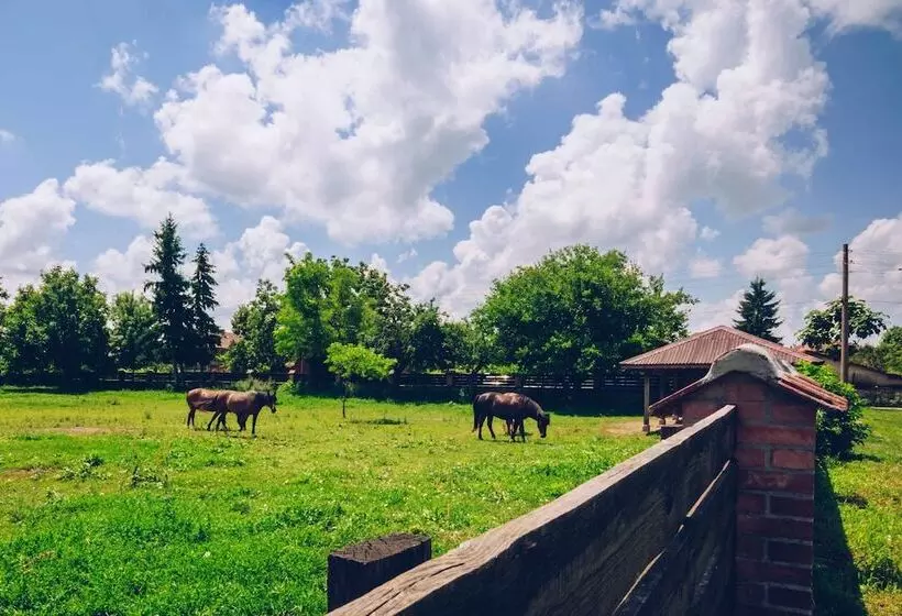 Majatalo Ongal Guest Houses