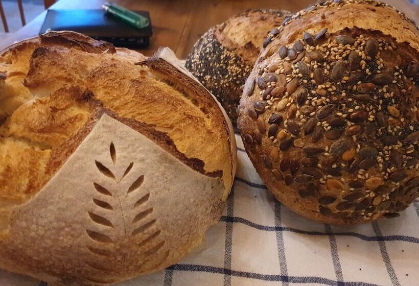 פנסיון Ongal Guest Houses