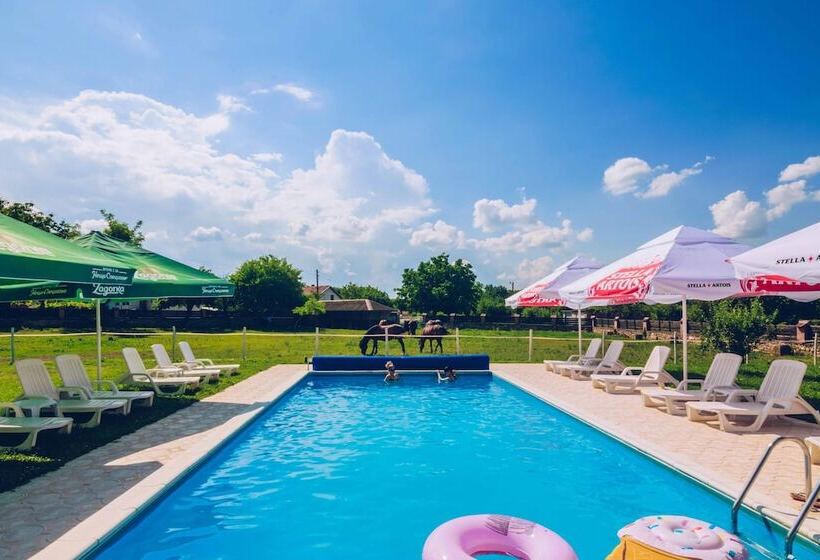 פנסיון Ongal Guest Houses