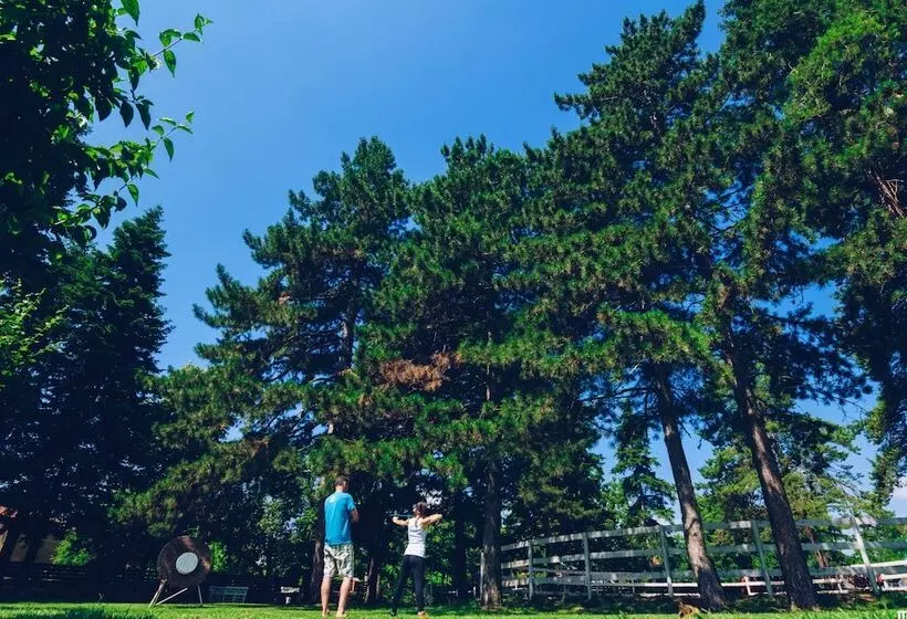 Majatalo Ongal Guest Houses