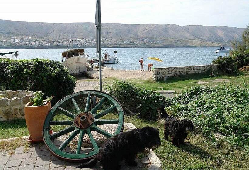 پانسیون Pansion Gea