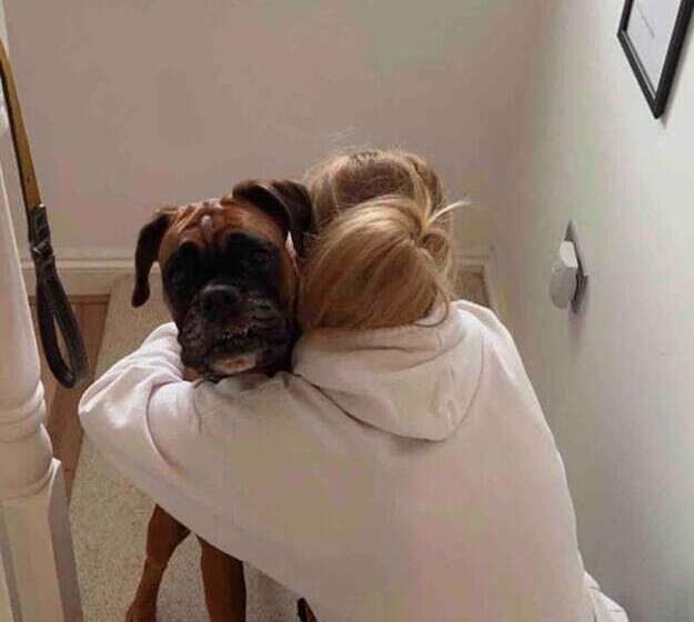 Резиденция Perfect Location, Dog Friendly Beautiful Home