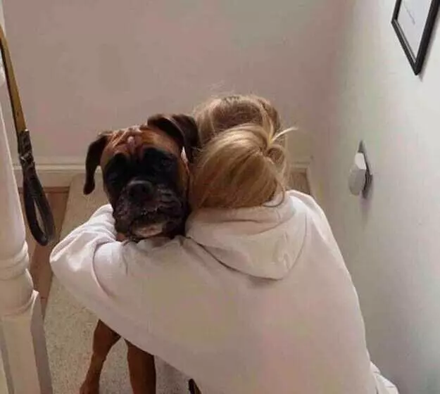 Residenssi Perfect Location, Dog Friendly Beautiful Home