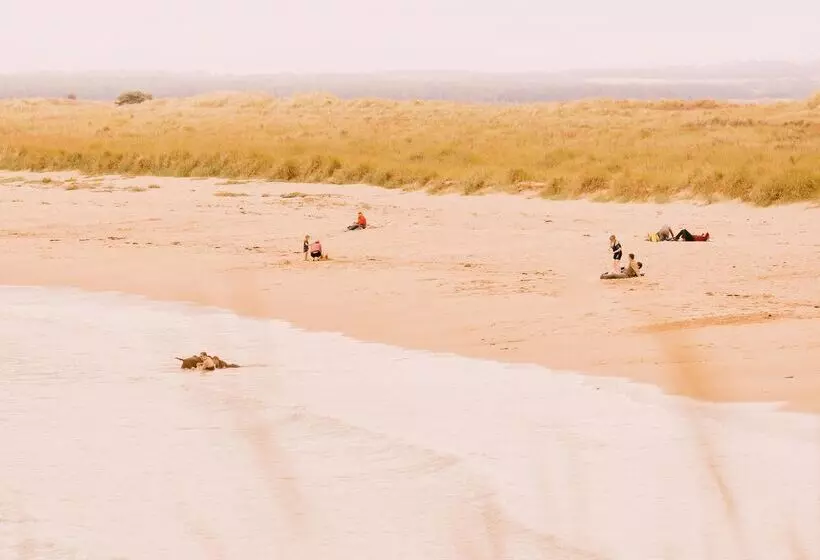 Lomakeskus Dornoch Station