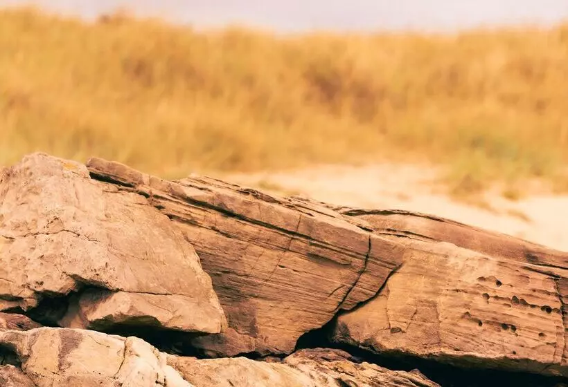 Lomakeskus Dornoch Station